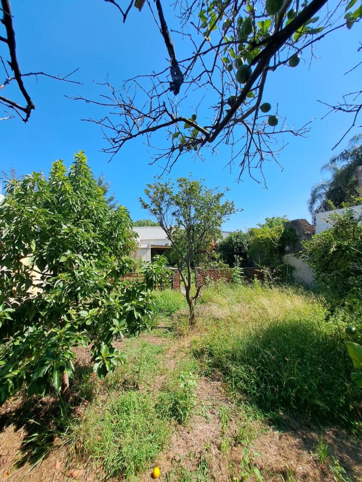 CASA CON GRAN PATIO VERDE 