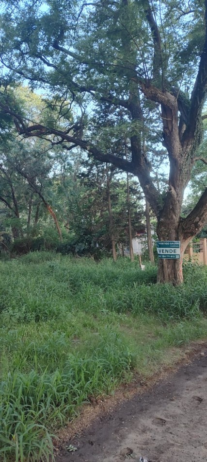 TERRENO EN SAUCE VIEJO