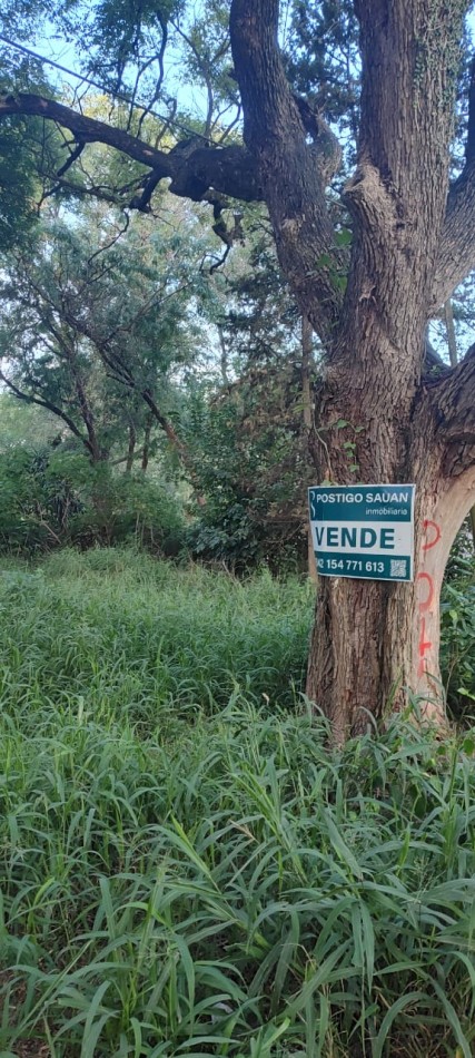 TERRENO EN SAUCE VIEJO