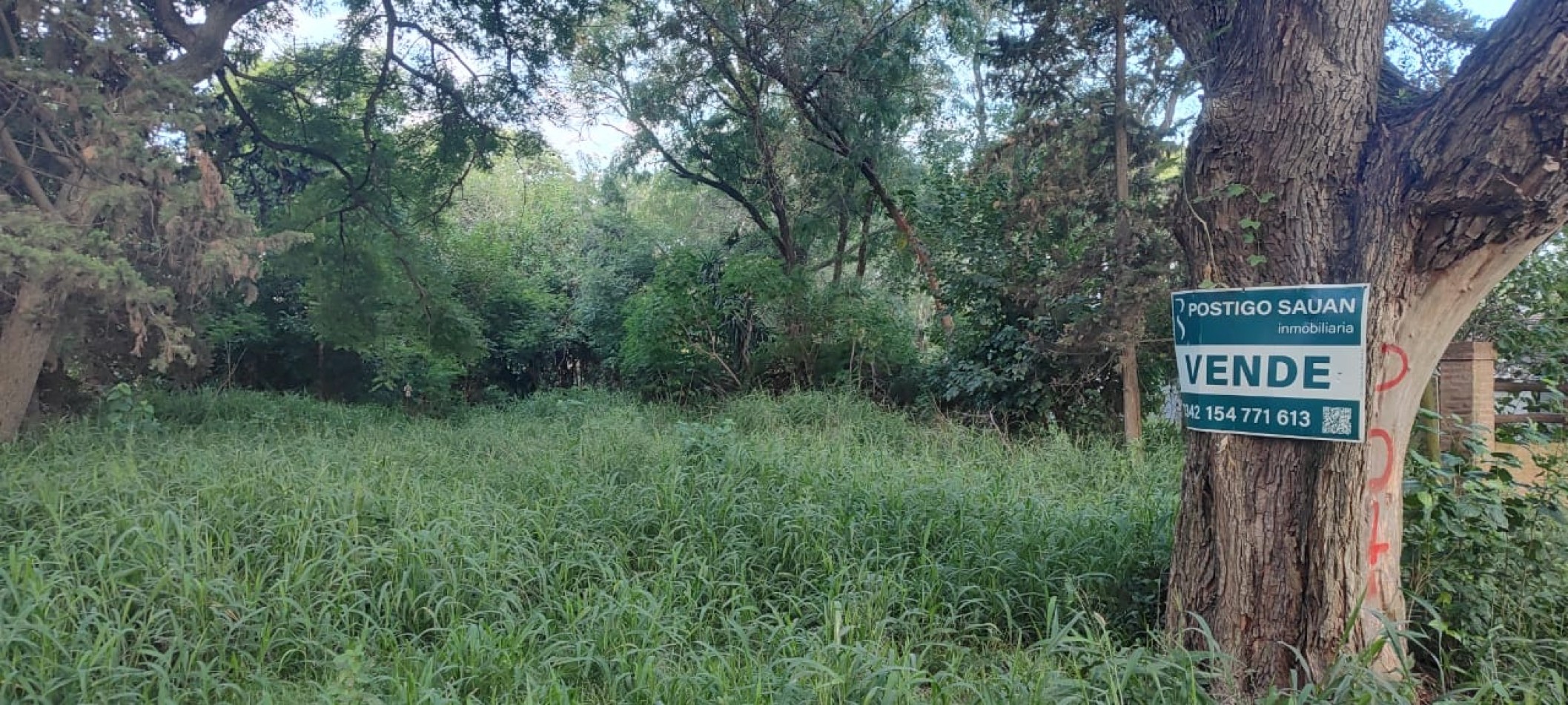 TERRENO EN SAUCE VIEJO