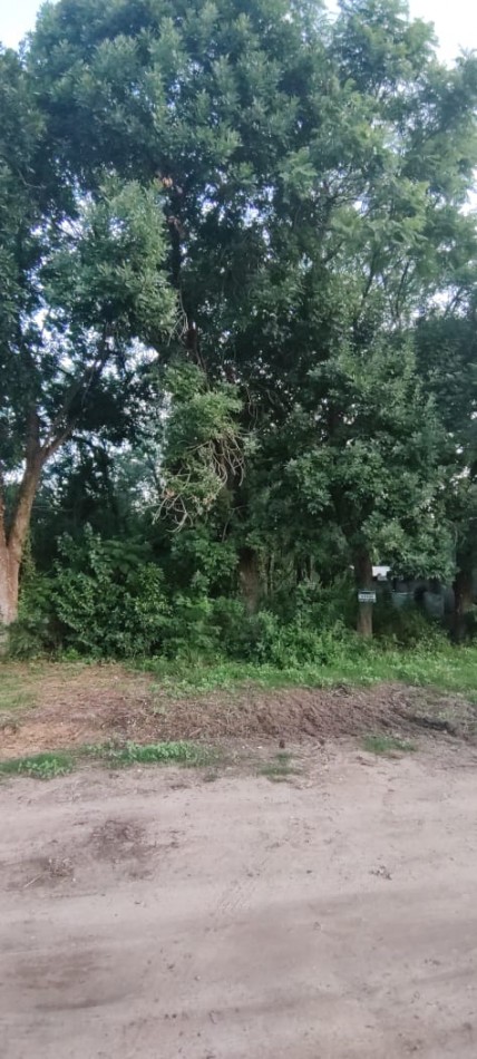 TERRENO EN SAUCE VIEJO
