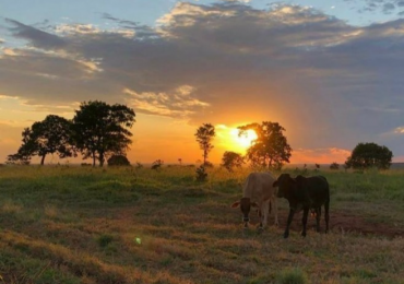 CAMPO DE 1280 HA EN SAN CRISTOBAL