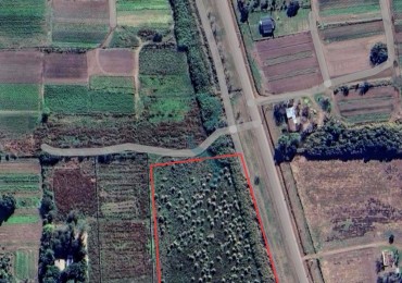 HECTAREAS EN VENTA EN ANGEL GALLARDO