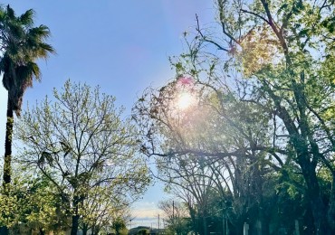 Terreno en Sauce Viejo